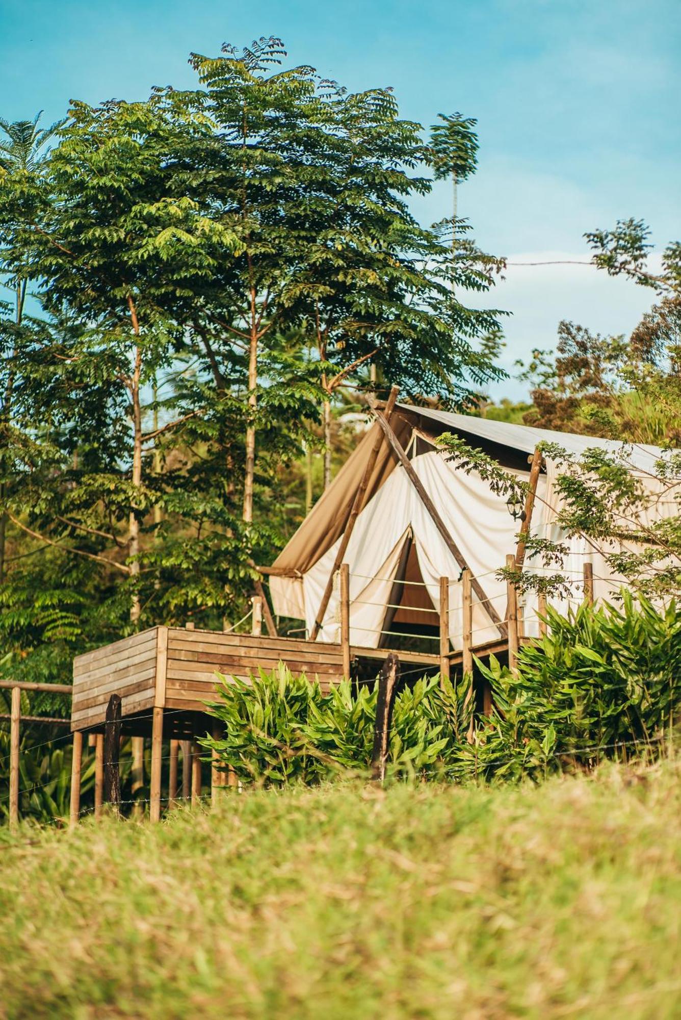 Glamping Entre Rios Hotell Calarcá Exteriör bild